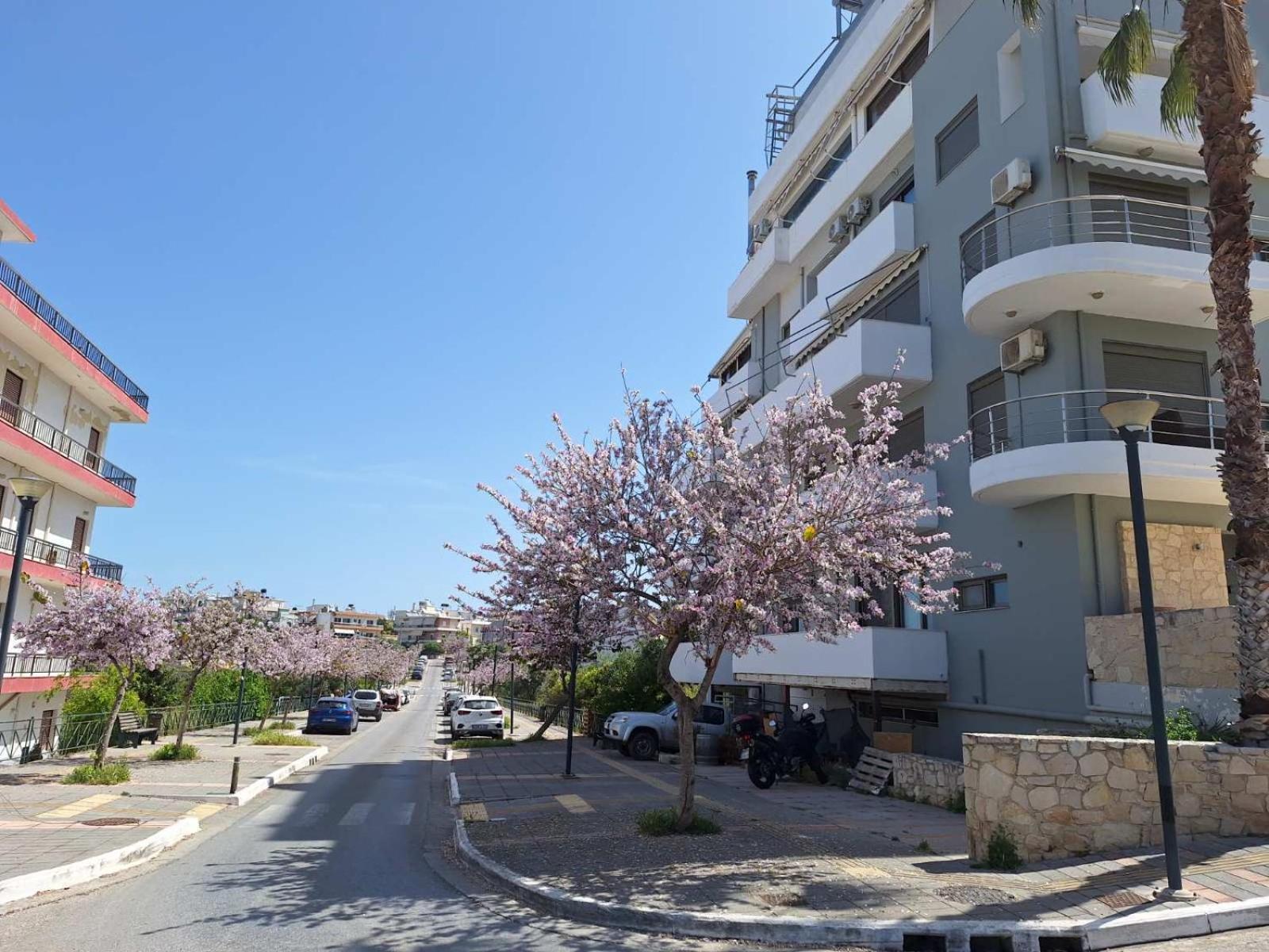Iriana'S Apartments In Center Chania  Exterior foto